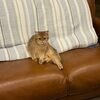 resellersimba